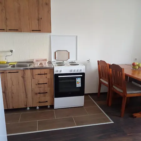 Apartman Aleksic Kursumlija Exterior photo